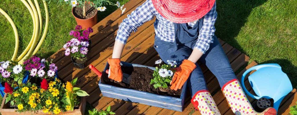 Gardening Tips For New Gardeners